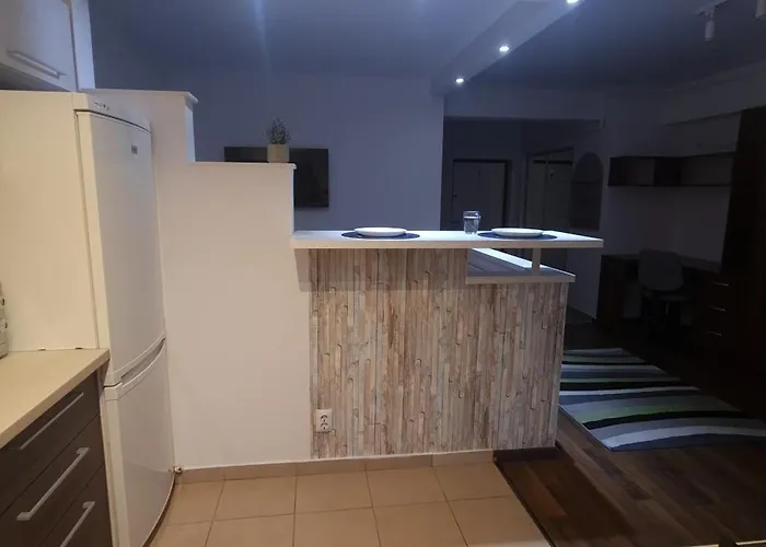 Studium 3* Клуж-Напока