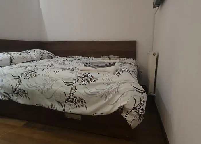 Studium 3* Клуж-Напока